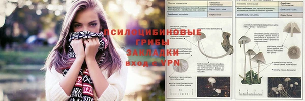 кокс Аркадак